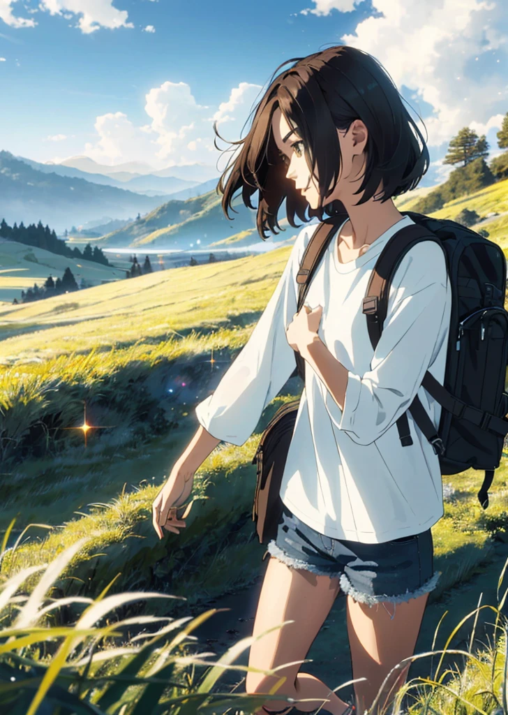 (beautiful and magnificent skyline, majestic sky), (extremely tense and dramatic pictures, moving visual effects), (high hanging Polaris, colorful natural light), (1girl), (long-sleeved top, denim shorts, carrying a backpack), (dynamic pose:1.3, black eyes, black hime-cut hair, sparkling girl)[:0.8], (large grassland), (oncoming breeze), (brown hair and background Coordination effect: 1.2), (close shot, long shot mix and match)[::0.9]