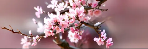 Sakura blossomed realistic tree, with a bird
