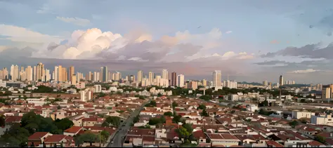 araffe view of a city with many buildings and an overcast sky, sao paulo, by fernando gerassi, sao paulo, houses, by willian mur...