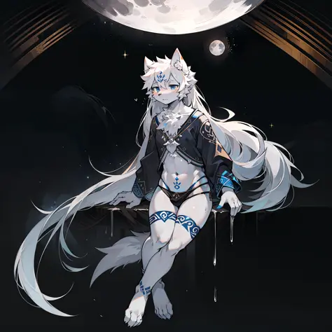 Furry, the white wolf, is the god of the moon, a seafarer, drifting in the clear waters and melting with the moonlight at night, wearing black moon clothes and decorating himself with moon tattoos on his thighs. It makes for a deep and interesting understa...