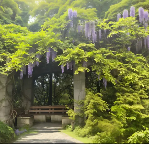 Under a tree overgrown with wisteria flowers there is a bench with an arch made of lush greenery, rich vines and verdant flowers...
