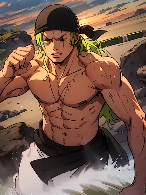 roronoa zoro, long hair, bandana, open right eye, right eye, closed mouth