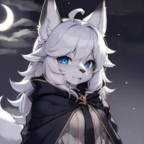 (fluffy anthro furry:1.3), 1girl, solo, furry wolf, wolf ears, kemono, (closed mouth, cloak:0.9), crescent moon, moonlight, hair...