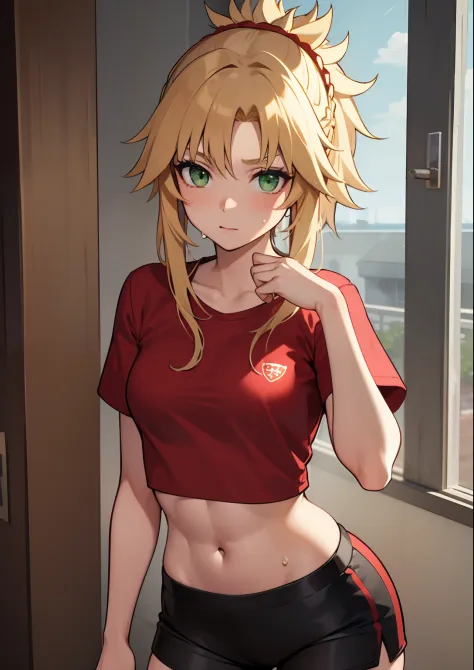 Beautiful, Masterpiece, Best Quality, extremely detailed face, perfect  lighting, mordred \(fate\), a 1girl, 独奏, hair light, Gre...