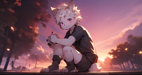 furry wolf，Sit on the groundd，((Shota)), Red and white hair, Very good figure, Handsome，adolable, Light：Extreme light and shadow...