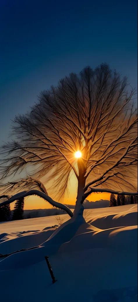Close-up of a tree in the snow，Sunset, warm beautiful scene, cold sunset, sunny winter day, winter setting, breath-taking beautiful trees, breath - taking beautiful trees, winter vibes, Cold but beautiful, cold sunny weather, Beautiful backlight, beautiful...