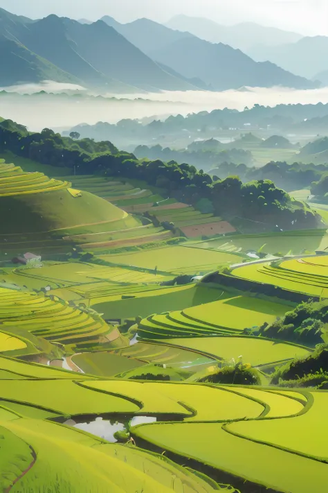 Large expanses of terraced fields, mountains, huts, with rice fields, rice fields, neat rice seedlings in the fields, misty rain...