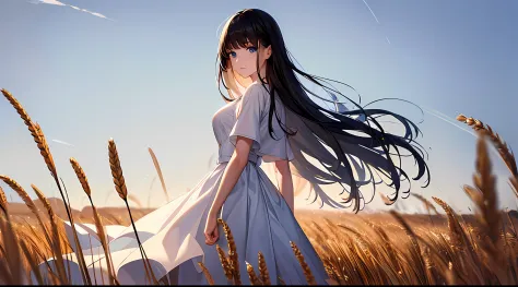 (masterpiece), best quality, ultra-detailed, 8K, a girl, medium black hair, blue eyes, wearing plain white dress, beautiful detailed face, in a field of wheat, looking at viewer, standing straight, blurry background, facing the viewer,