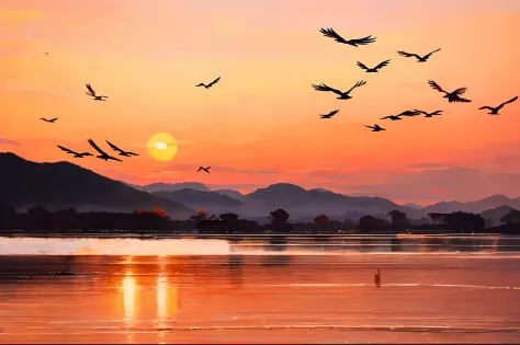 Birds fly on the surface of the water