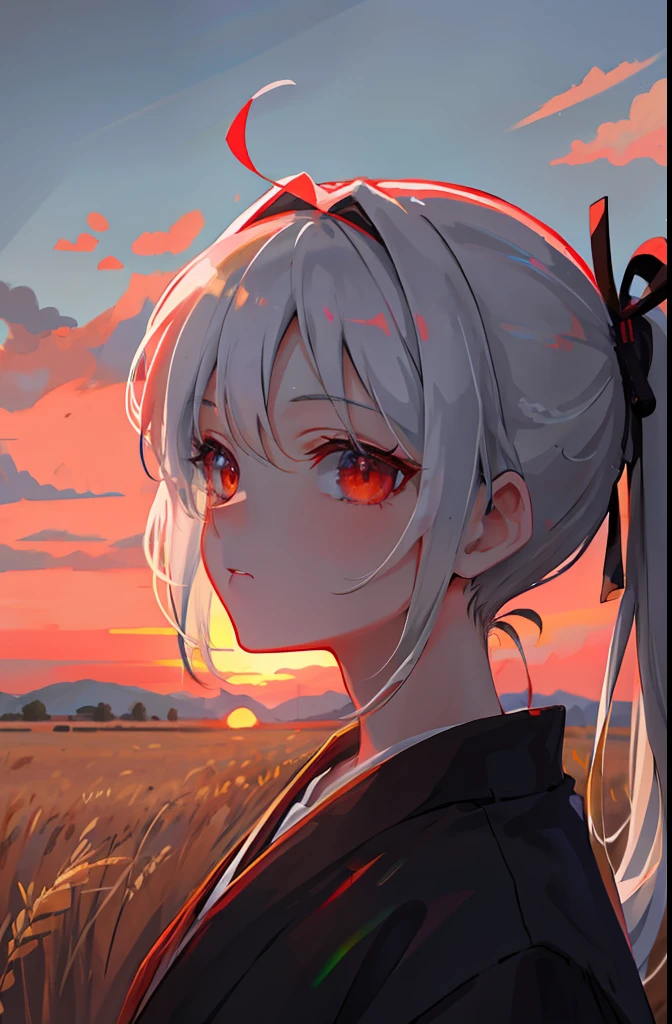 Masterpiece, Best quality, 1girll, Portrait, White hair, pony tails, Red eyes, Samurai, Wheat landscape, Sun, Clouds, (com cores neutras), (hdr:1.4)