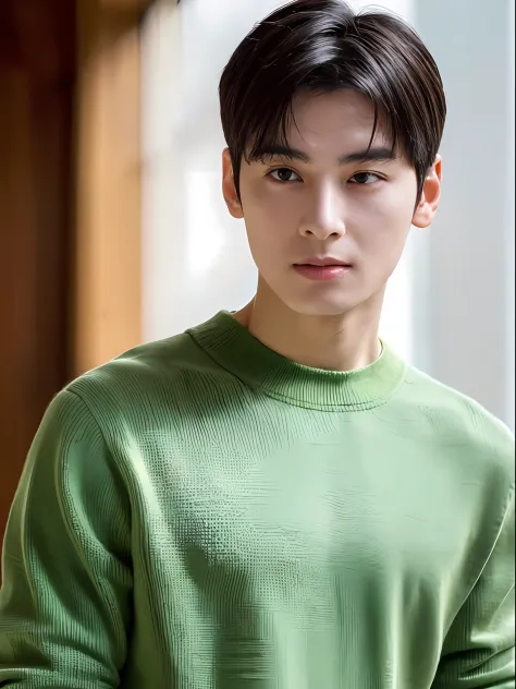 top quality, ultra high resolution, (photorealistic: 1.4), Cha eun woo, green sweater, dynamic angles, handsome, perfect face, p...