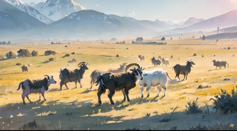There are a lot of goats in the dense steppe，Very many sheep
