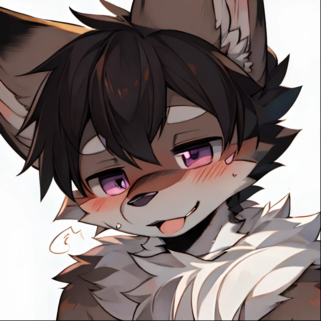 solo person，shaggy male，furry，coyote，canid，White fur，a purple eye，fullnude，Stick out your tongue，Shy，There is a blush on the face，The top of the head is black，Black ears，Eyes with longing，drools