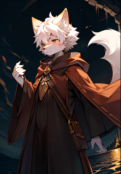 (Dark environment 0.8),tmasterpiece,high qulity,multi-detail,number art,The blazing sun covers the sea,Dusk,furry wolf,Solo,Furry male,Fluffy tail,Fluffy ears,Face away from the camera,White hair,Brown fur,Brown cloak,Facing the sea,Bow to the sun,Wide ang...