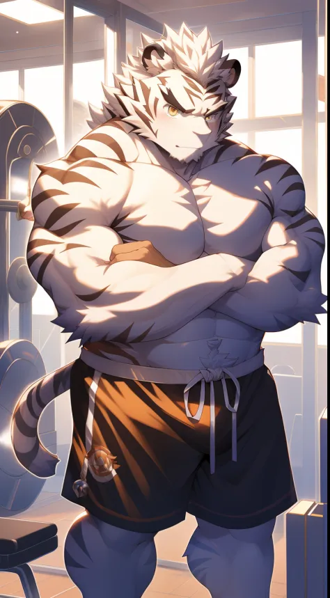 tmasterpiece，Anthropomorphic white tiger，male people，26 year old，Thick eyebrows，White hairs，Strong body，large pecs，Bare topless，Skinny yellow shorts，Raise a barbell，in  the gym，serious，looking toward the viewer，Golden pupils，strong，Solo，frontage，Full body ...