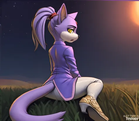 [Blaze the Cat], [Uploaded to e621.net; (Pixelsketcher), (twistedterra), (napalm_express)], ((masterpiece)), ((solo portrait)), ((back view)), ((full body)), ((detailed fur)), ((detailed shading)), ((beautiful 3D render art)), ((intricate details)), {anthr...