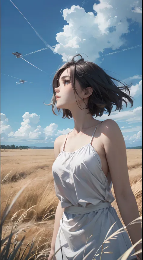 grass field、blue open sky、White cumulonimbus clouds、contrail、glowing sun、Steppe grass swaying in the wind、Photoquality、Live acti...