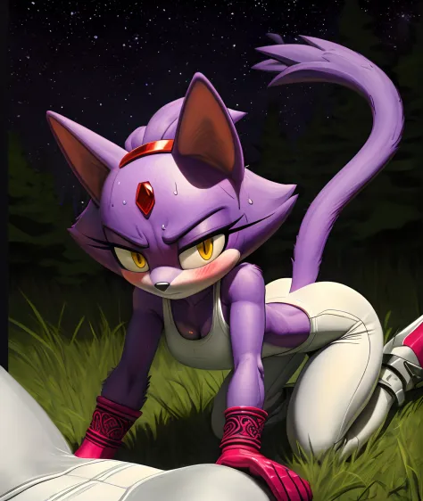 [Blaze the cat], [Uploaded to e621.net; (Pixelsketcher), (wamudraws), (napalm_express)], ((masterpiece)), ((HD)), ((furry)), ((solo portrait)), ((POV)), ((detailed fur)), ((detailed shading)), ((cel shading)), ((beautiful render art)), ((intricate details)...