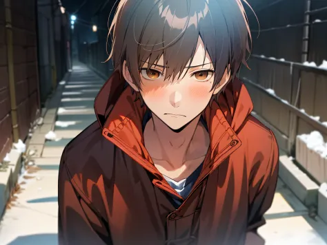 masutepiece, Best Quality, High quality, 1boy, Solo,Forcibly withdraw,yandere,eery,Cold expression,Male Focus, Looking at Viewer, upper body ,Brown eyes, Dark blue hair, parka,background is back alley,