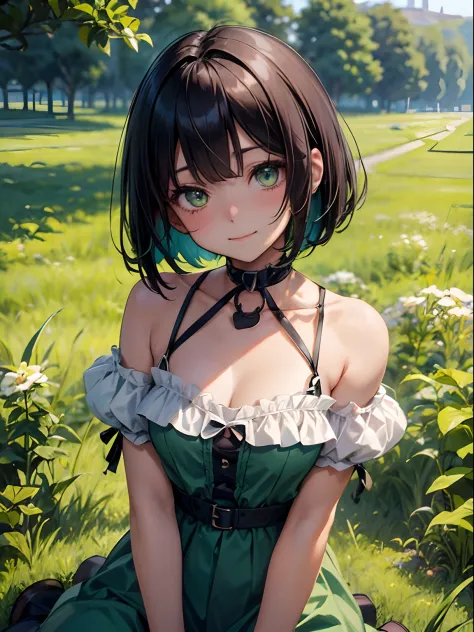 high-level image quality、Pattsun bangs、Black hair short bob、Kawaii Girl、Green eyes、Choker around the neck、、grass field、Dark Tone、Shy smile, Vibrant colors、The upper part of the body, Delicate drawing、