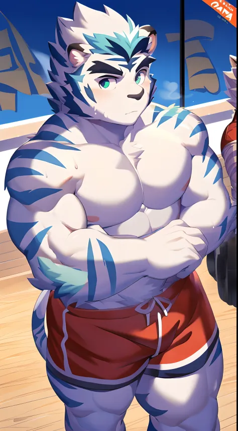 Hominidae, Pose for Camera. 4K, high resolution, Best quality, posted on e621, (Anthropomorphic white tiger:1.2), male people, 20yr old, Thick eyebrows, Light blue stripes, Ultra-short hair, shaggy, Strong body, large pecs, ((Shirtless)), He's working out,...