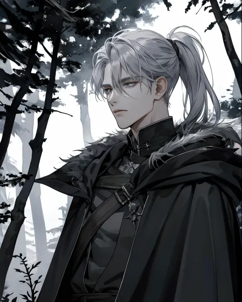 1male, beautiful, silver hair with low ponytail, dark grey eyes, detailed eyes, black cloak, dark sorcerer, rogue mage, alone in...