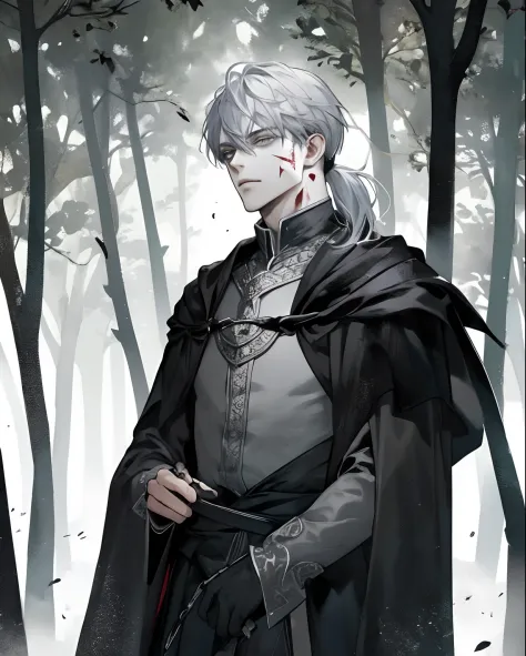 1 male, beautiful, silver hair with low ponytail, dark grey eyes, detailed eyes, black cloak, dark sorcerer, rogue mage, alone i...