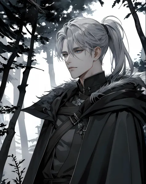 1male people, Beautiful, Silver hair，low ponytail, dark gray eyes, Detailed eyes, Black cloak, Dark wizard, The upper part of th...