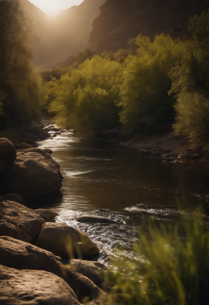 A close up of a river with rocks and trees in the background - SeaArt AI