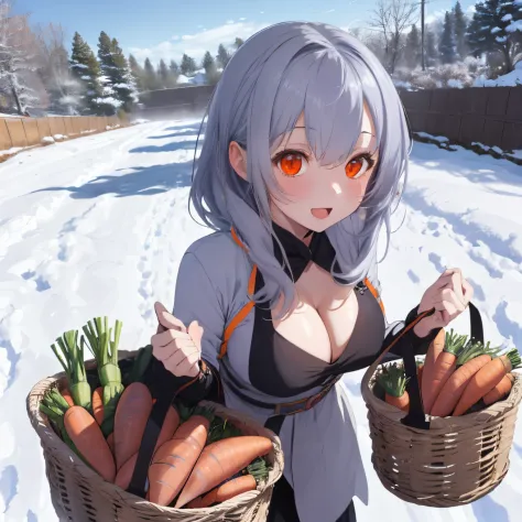 vast ranch area,A field of carrots that stretches into the distance,Green grass々Grassy meadow,many orange carrots in a big basket,There are also a lot of orange carrots lying around....,field covered with snow,carrots jump out of the snow,fluffy winter clo...
