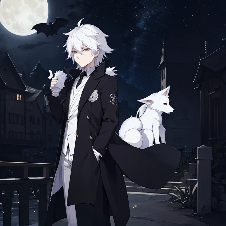 Anime character wearing black and white clothing standing in front of the full moon, white fox anime, White-haired fox, vampire white fox, Anime cute art style, High quality anime art style, Official character illustrations, from the night of the ark, Official character art, Popular topics on artstation pixiv, Zero art, Hajime Yatate, From a mysterious academic community