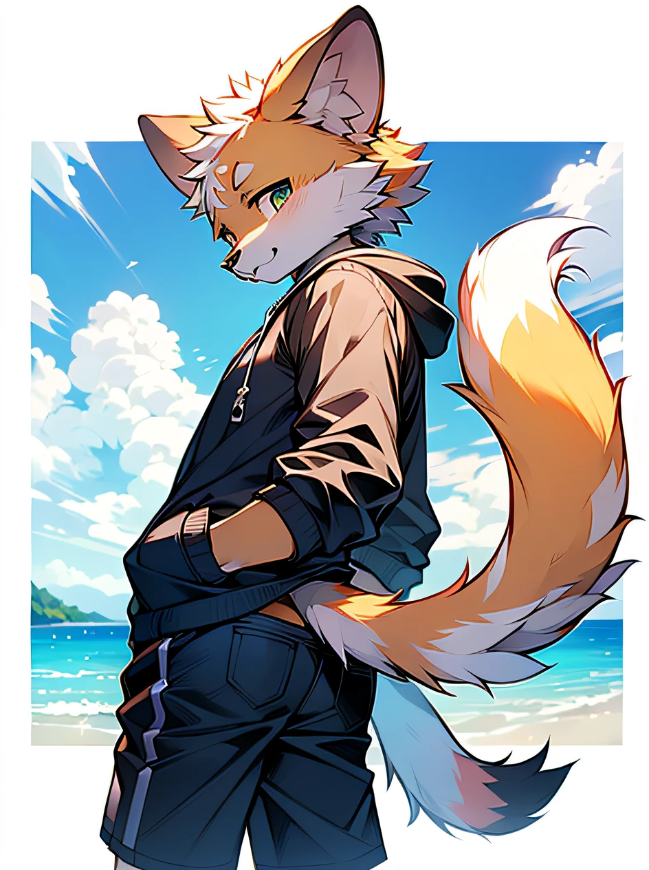 tmasterpiece，A high resolution，8K，detailedbackground，high high quality，（Yellow fur，No hair，Turquoise fluffy fur，Delicate fur）） hairy pubic hair， Broken， Muscular， horny boy， human - shaped， shorter pants， swim trunks，sandbeach， 独奏