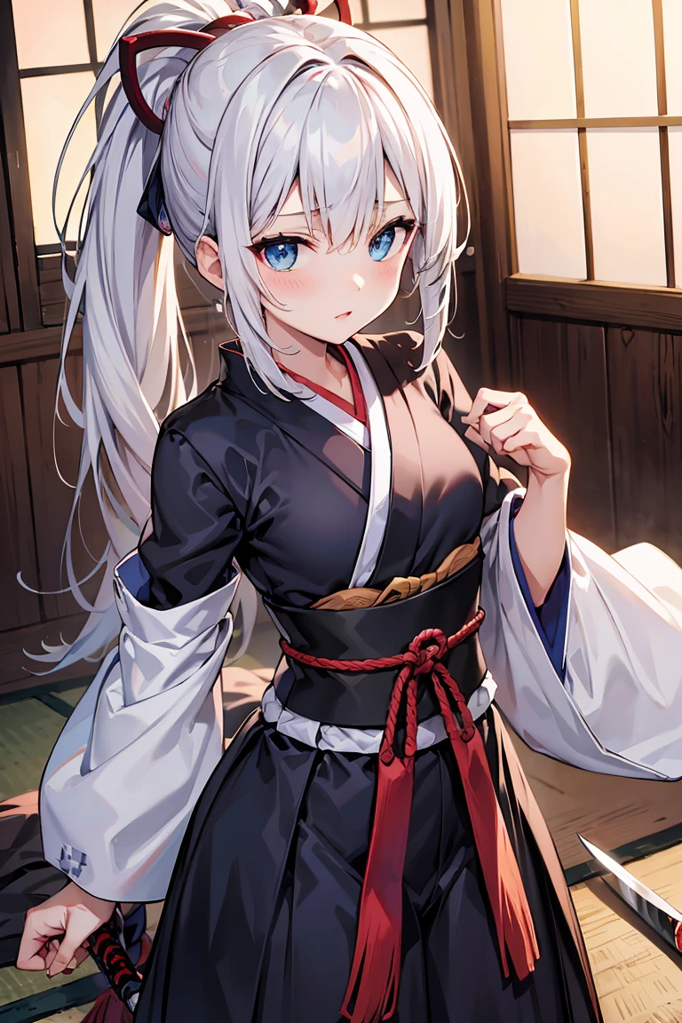 white  hair,poneyTail,samurais,komono,knifes,soft eyes,Blue eyes