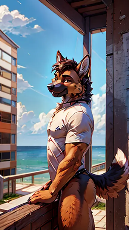 german shepherd furry casual shirt leaning against the railing and overlooking the sea