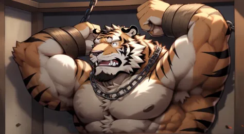 a burly one, furry tiger，Rich chest muscles，His hands and feet are bound by chains ，Chains wrapped around his chest,He was chained to the body，He has a metal collar around his neck，Chains wrapped around his chest，His chest muscles were tightly bound by cha...