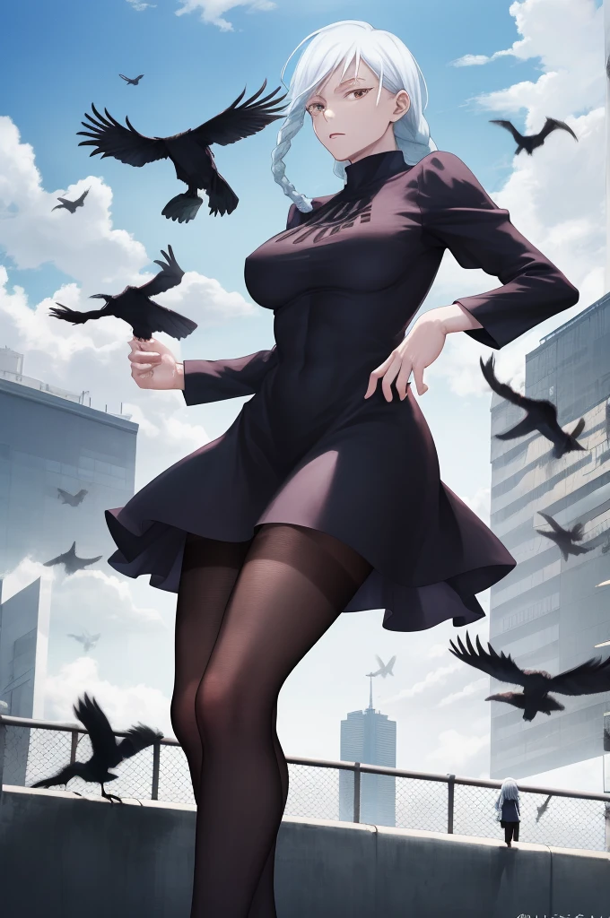 masterpiece, best quality, high quality, 
outdoors, street, 
looking at viewer, 
1woman, white hair, braided, black dress, Mei Mei from Jujutsu Kaisen, crows flying