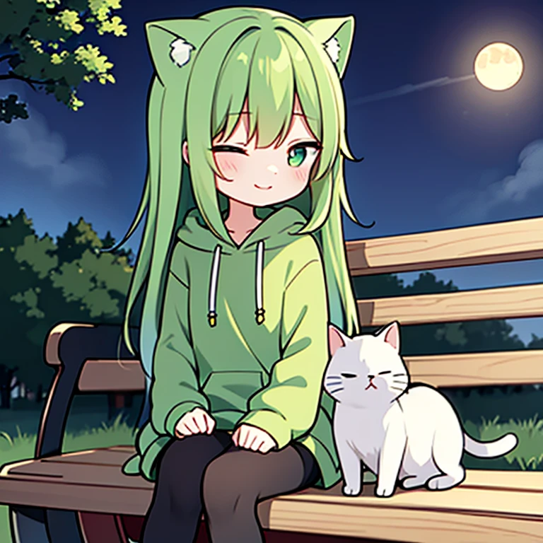 She is sitting on a bench in the park。She has short yellow-green hair、There is a person in the park wearing a green hoodie and a hoodie of the same color as the hoodie.。He is wearing shorts and black tights.、A cat is curled up and sleeping on his lap.。She is smiling while patting the white cat.、Eyes are open、The time is night、It&#39;s a moonlit night with shining stars、the cat is a normal cute cat、there is only one cat