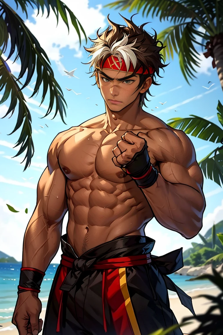 (Masterpiece, Best quality 16 year old boy，Shota), solo, Young, boy, Dark Short hair, full bodyesbian, Shirtless, babyface, topless, green headband, Vivid colors,(Depth of field:1.2),(Abs), view the viewer, black wristband, closed mouth, serious, topless male, pale tanned skin with tight muscler body, Man with martial arts stance, epic kung fu pose,