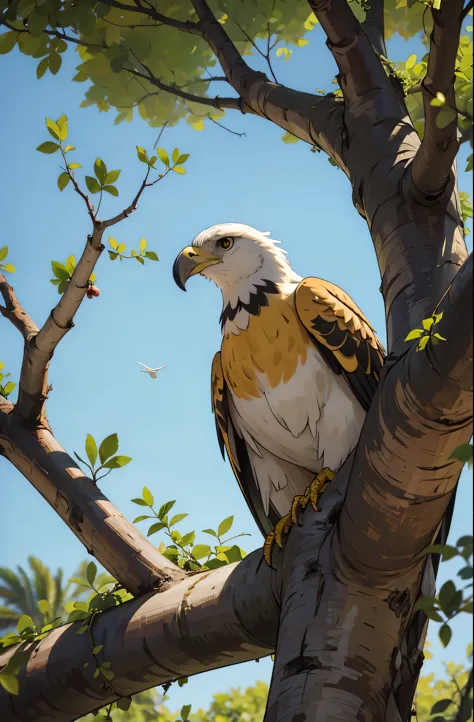 es medio dia y una solo aguila se posa en la rama de un arbol y mira hacia abajo 