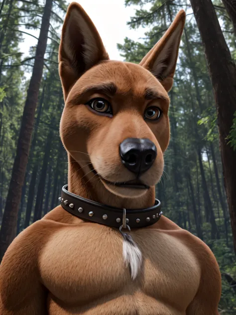scrappydoo, solo
anthro, male, collar only, smiling
bust portrait, Forest background, low-angle view
detailed realistic photorealism