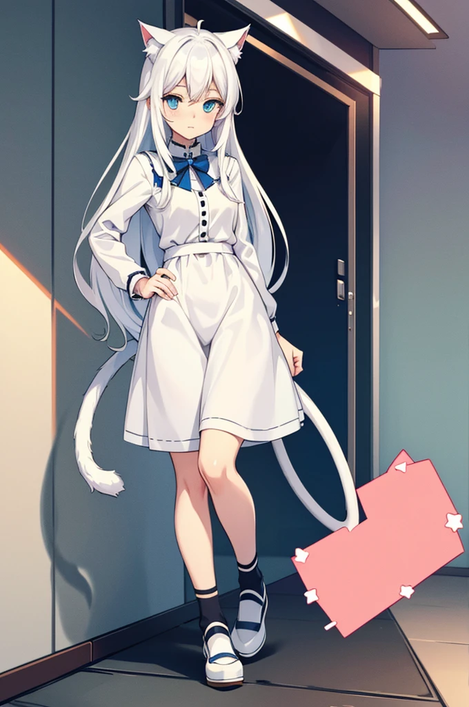 An cute and shy short anime style white haired cat girl with blue eyes and long hair, tail, cute clothes, cat ears (full body)
