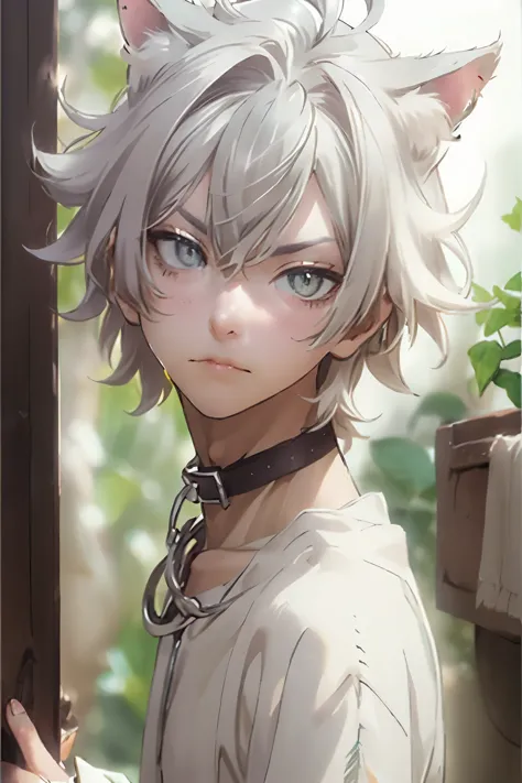 cat boy, lithe masculine frame, dusty silver blond hair, looking at viewer, bell collar around neck, wearing sweater, curious ex...