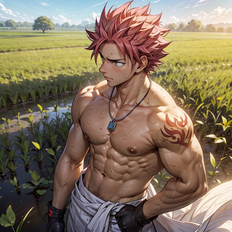 Blick auf den gutaussehenden Natsu Dragneel, der Reissamen auf einem Reisfeld sät. Sein Körper ist muskulös und fit, Er ist ohne Hemd mit muskulösen Brustmuskeln und und. Er trägt ein weißes Tuch um seine Taille, weiße schmutzige Handschuhe und eine silberne Halskette. Er arbeitet hart auf dem Feld und pflanzt Samen . Seitenansicht von ihm beim Einpflanzen von Reissamen. Er arbeitet sehr hart und schwitzt stark. Die Szene zeigt eine Reisfarm mit blauem Himmel und strahlender Sonne. Sein Gesichtsausdruck ist gestresst und auch seine Muskeln arbeiten hart.. Er hat feurig rosa Haare, genau wie Natsu Dragneel, und ein rotes Tattoo auf der Schulter.