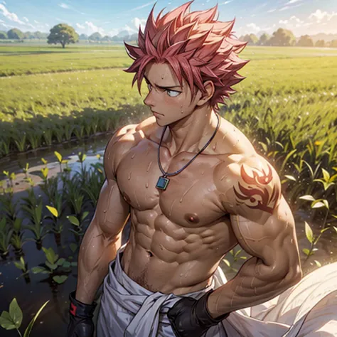View of handsome Natsu Dragneel sowing rice seeds in a farmland of rice. His body is muscular and fit ripped, he is shirtless wi...
