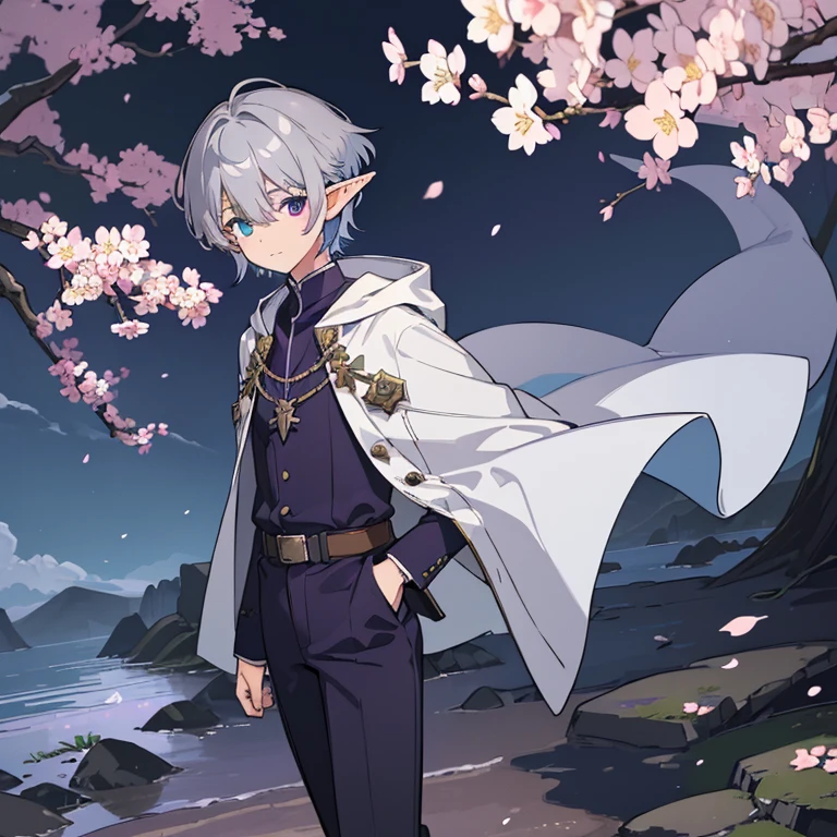 ((High resolution/high quality 8k))、alone、(elf boy)、((a handsome guy))、((Dark blue and dark purple heterochromia))、(light silver berry short hair)、slacks、Daytime cherry blossom viewing、Official、cloak