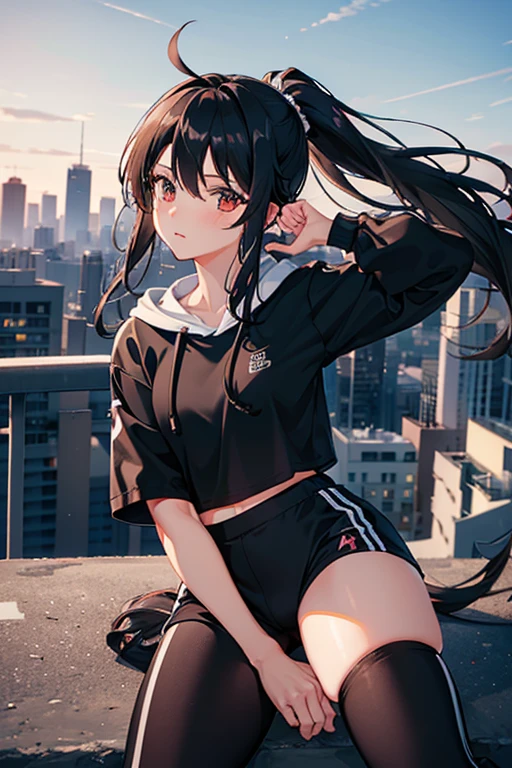 very good image, a cute beautiful anime tomboy girl, long black hair, hu tao , ponytail, white crop top hoodie, black training pants, city(hd view), high quality, high details