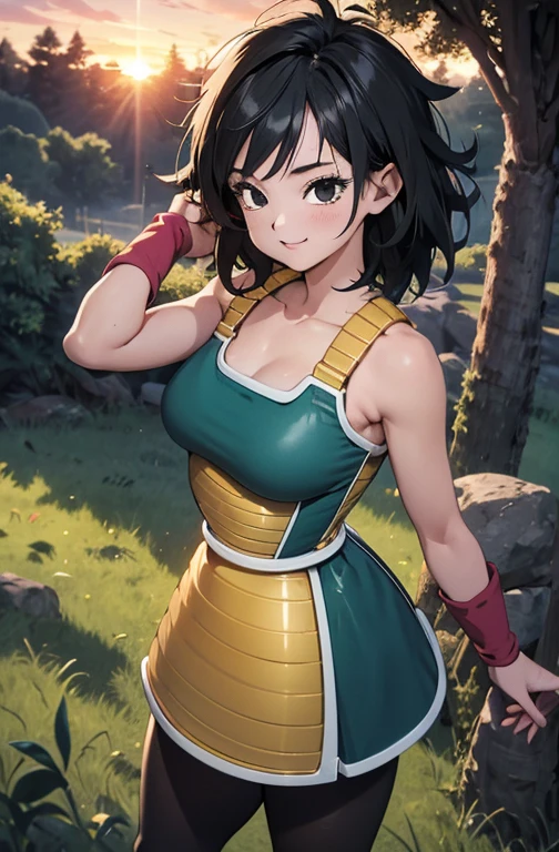 masterpiece, best quality, gine, saiyan armor, collarbone, green skirt, wristband, black pantyhose, upper body, smile, looking at viewer, field, trees, sunset sky, 1 girl, solo