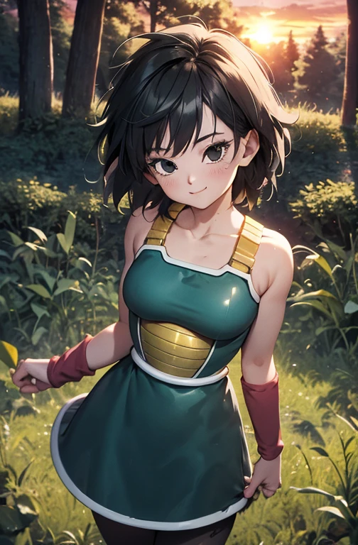 masterpiece, best quality, gine, saiyan armor, collarbone, green skirt, wristband, black pantyhose, upper body, smile, looking at viewer, field, trees, sunset sky, 1 girl, solo