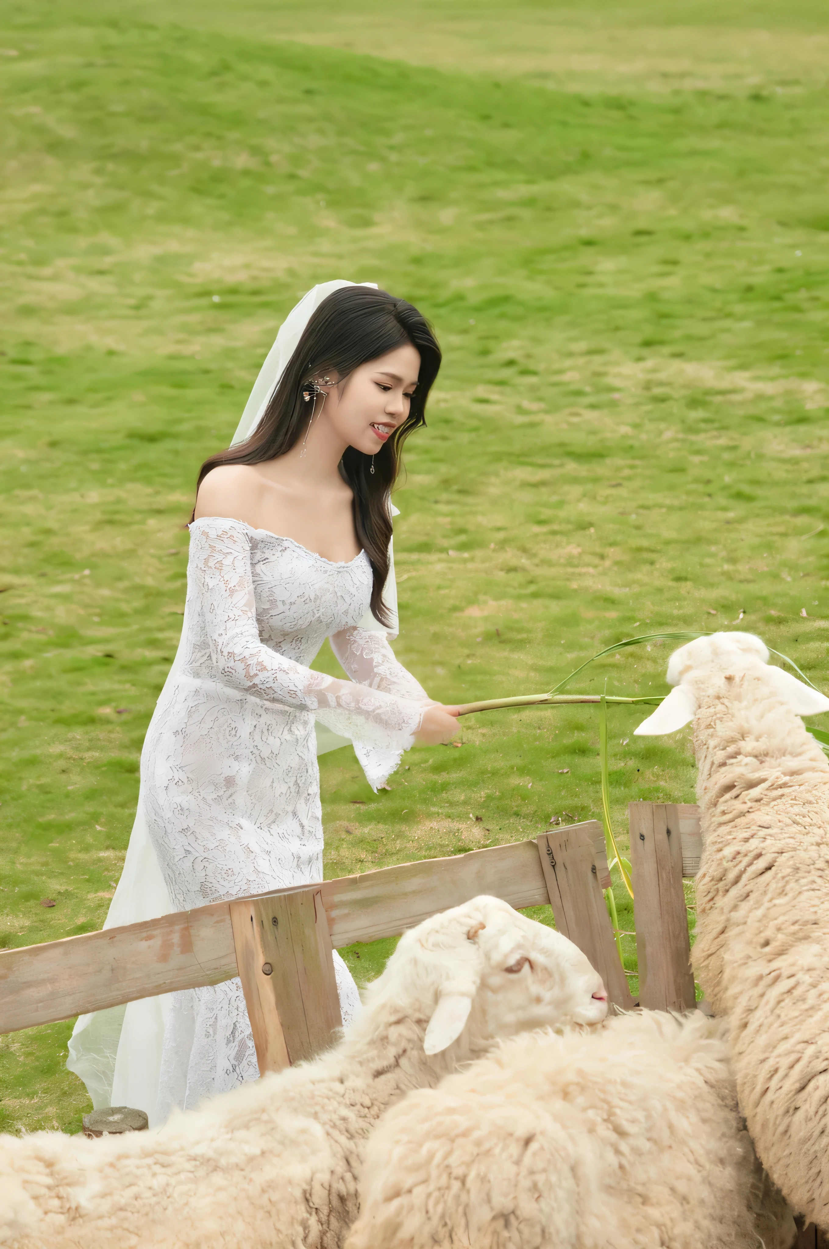 Novia vestida de blanco alimentando ovejas en una zona vallada con hierba  verde - SeaArt AI