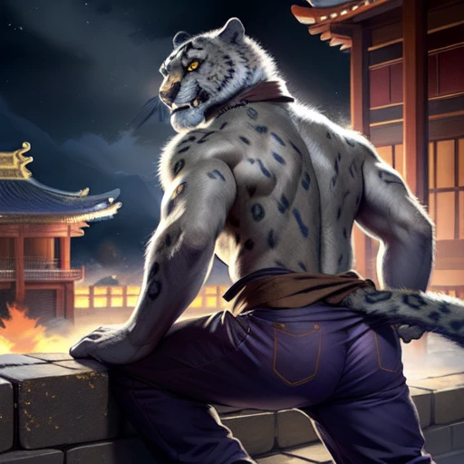 (by taran fiddler), (by darkgem:0.8), (by chunie:1), masterpiece, grey fur, nipples, navel, portrait, seductive, looking at viewer, smile, grin, teeth, (tailung:1.2), snow leopard, (gold eyes), detailed eyes, male, solo, anthro, crouched on roof, (looking back, muscular butt), roof tiles (detailed temple background), Chinese temple, (night), (Purple pants, brown sash)